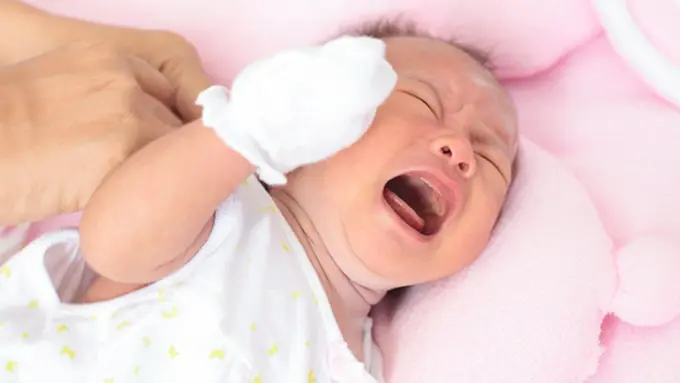 Photo copyright Shutterstock.com