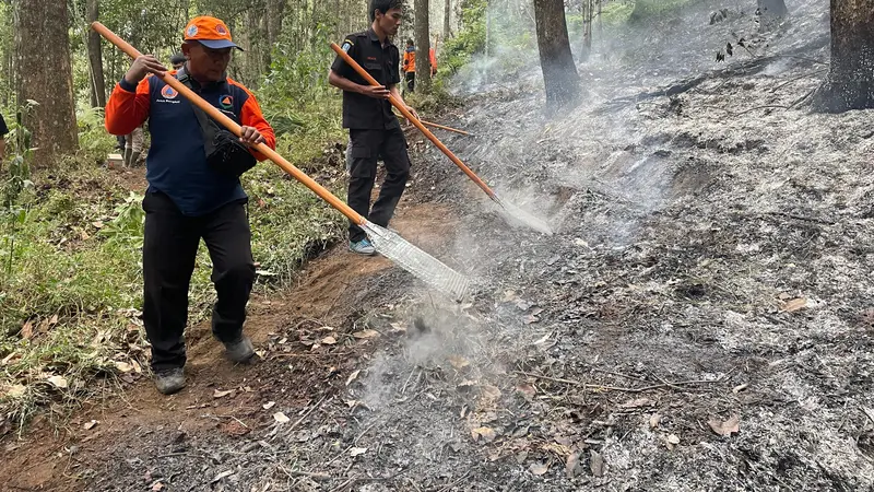 Petugas gabungan berusaha memadamkan kebakaran di Gunung Lawu. (Istimewa)