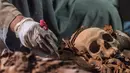 Arkeolog melakukan penelitian pada tengkorak yang ditemukan di sebuah makam kuno di kota Luxor, Mesir (9/9). Menurut Menteri Purbakala Mesir, mumi-mumi tersebut merupakan mumi pandai emas kerajaan dan keluarganya. (AFP Photo/Khaled Desouki)