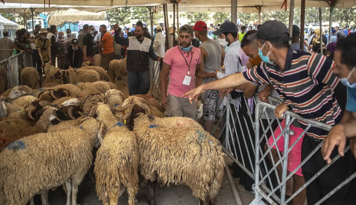 Orang-orang berkumpul untuk membeli domba jelang perayaan Idul Adha di sebuah pasar di pinggiran Rabat, Maroko, Kamis (30/7/2020). (AP Photo/Mosaab Elshamy)