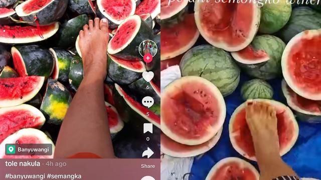 Aksi Petani Injak-Injak Semangka