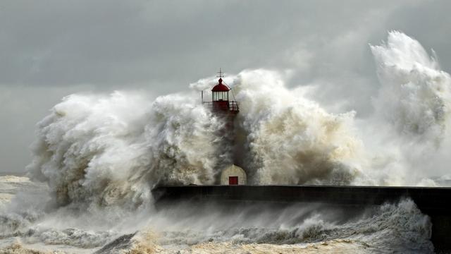 7 Arti Mimpi Tsunami Menurut Primbon Jawa dan Psikologi, Tak Selalu Buruk