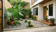 6 Taman Kering dengan Batu Koral dan Monstera, Halaman Rumah Makin Sejuk