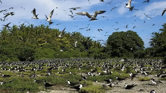 6 Pulau Misterius yang Simpan Rahasia Sejarah Dunia