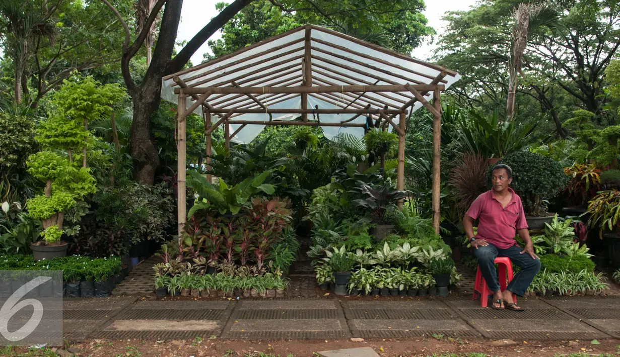 Pedagang tanaman hias menunggu pembeli di parkir Timur Senayan, jakarta, Rabu (8/2). Sejumlah pedangang mengaku sepi pembeli usai direlokasi ke dalam Kompleks GBK tujuh bulan lalu. (Liputan6.com/Gempur M. Surya)