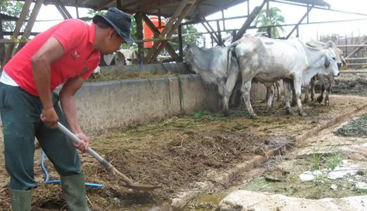 Mimpi menginjak kotoran atau apapun yang berhubungan dengan kotoran dipercaya oleh sebagian masyarakat Indonesia sebagai tanda akan mendapatkan rezeki yang tidak disangka-sangka. (Journal.Asia)