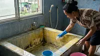 Cara Membersihkan Bak Mandi Menguning dan Lumutan Pakai Bahan Sederhana