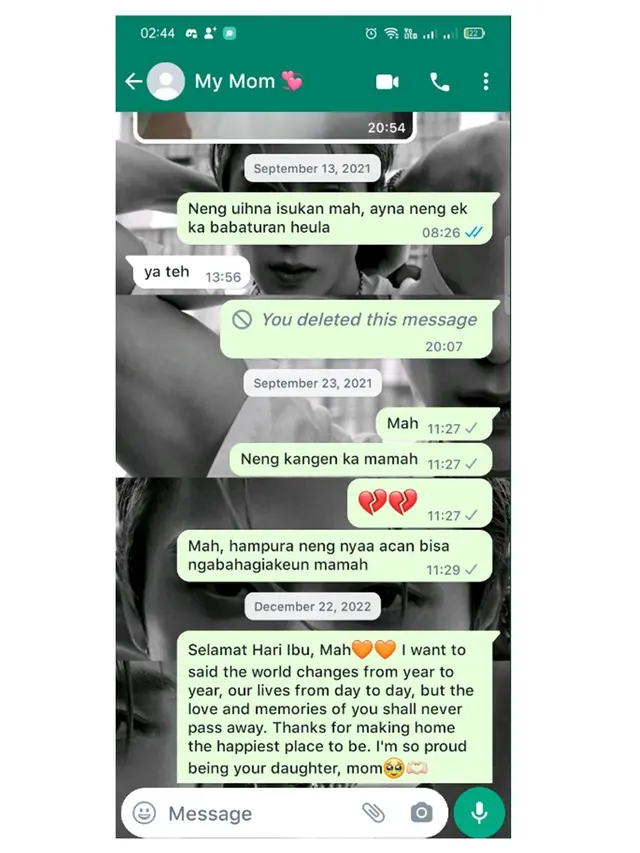 Ibunda Sudah Wafat, 6 Chat Rindu ke Ibu Meski Tidak Dibalas Ini Bikin Sedih