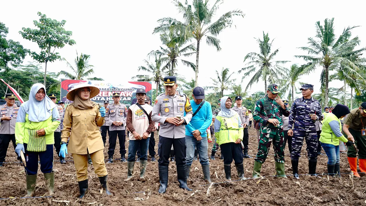 Bupati Banyuwangi Ipuk Fiestiandani (Kanan) lakukan program penanaman 1 Juta Jagung (Istimewa)