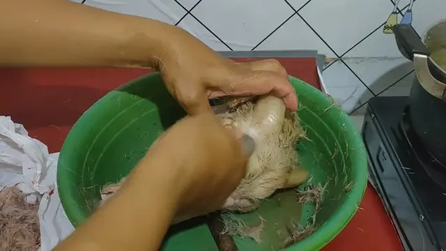 Modal 1 Alat, Ini Cara Mudah Bersihkan Kepala Kambing Sebelum Diolah