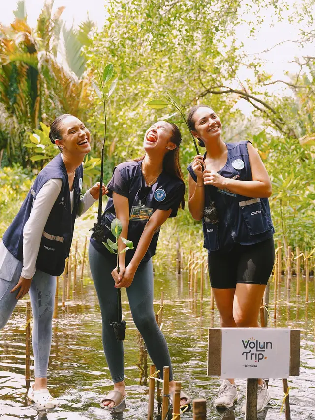 7 Momen Yasmin Napper, Asha Assuncao dan Haico Jadi Relawan Tanam Mangrove