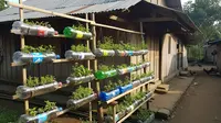 7 Cara Memilih Barang Bekas yang Aman untuk Tanaman, Cocok Buat Berkebun di Rumah