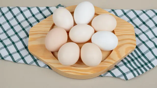 Egg