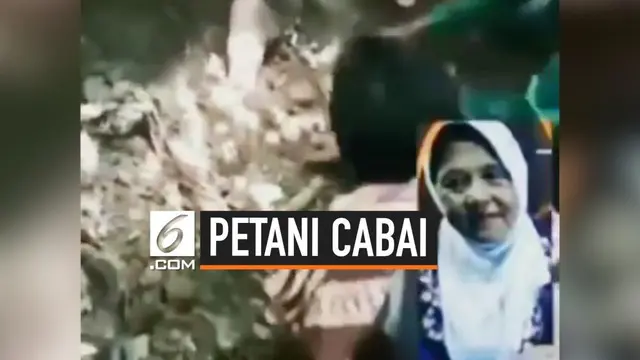 Petani cabai ditemukan meninggal dunia di pinggir sungai. Diduga korban dibunuh oleh pelaku yang tertangkap sedang mencuri cabai.