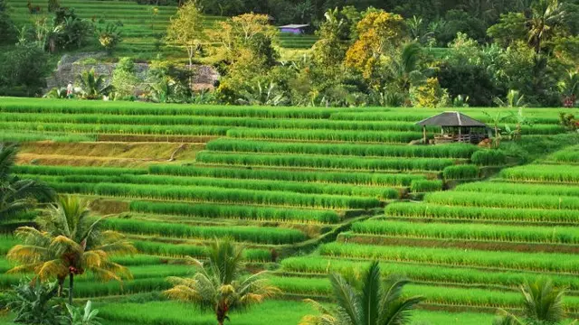 Agar Momen Liburan di Bali Tak Berlalu Begitu Saja, Kunjungi 3 Destinasi Unik Ini
