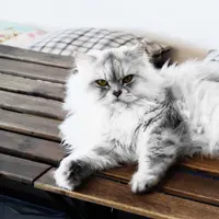 Yuk lebih waspada sama tanda-tandanya!