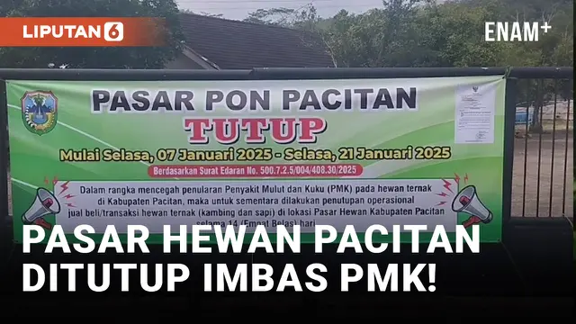 VIDEO: 322 Sapi Terdampak PMK, Pasar Hewan Pacitan Ditutup