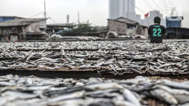 Musim Penghujan, Produksi Ikan Asin Alami Penurunan