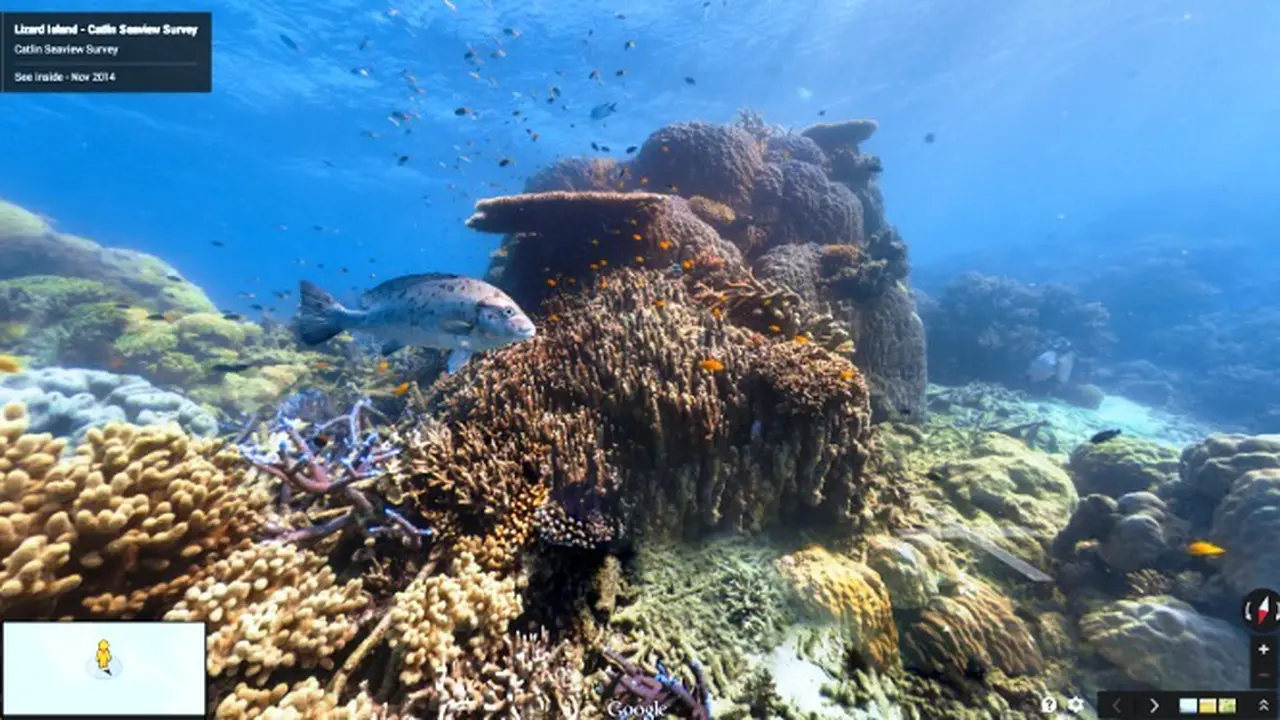 Menyelami Keindahan Bawah Laut via Steet View Underwater