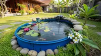 7 Model Kolam Ikan Tanpa Gali Tanah yang Praktis dan Estetik