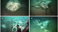 Kuburan bawah laut (BBC/Serpent Project)