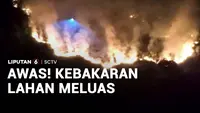 Awas! Kebakaran Lahan Meluas