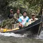 Proses pelepasliaran orangutan di Kalimantan  (Foto: International Animal Rescue (IAR) Indonesia)