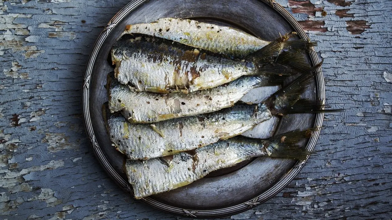Ilustrasi ikan asin