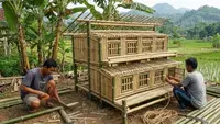 Cara Membuat Kandang Ayam Petelur Skala Kecil Modal Bambu yang Hemat dan Tahan Lama