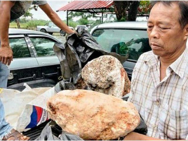 Mendadak Kaya Nelayan Ini Temukan Muntahan Paus Seharga Rp 141 Juta Perkilo Hot Liputan6 Com