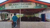 7 Kesalahan Petani yang Bikin Selalu Rugi, Rejo Farm Yogyakarta Ungkap Akar Masalahnya
