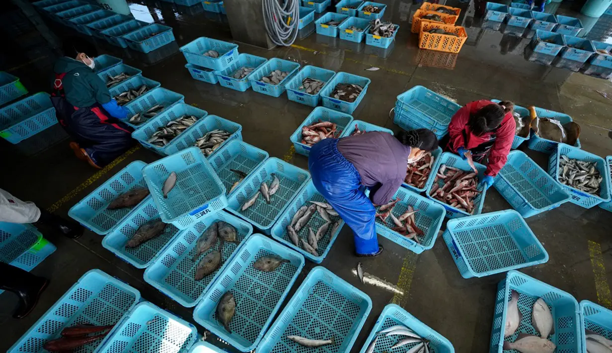 China dan Rusia telah melarang impor makanan laut Jepang sejak pembuangan limbah nuklir Fukushima dimulai. Namun, Jepang mengatakan makanan laut itu aman, pandangan yang sejauh ini didukung oleh Badan Energi Atom Internasional. (AP Photo/Eugene Hoshiko, Pool)