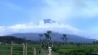 Seorang pendaki tewas saat mendaki Gunung Semeru, hingga harga tomat turun drastis di kisaran Rp 100 dan Rp 200 per kilogram.