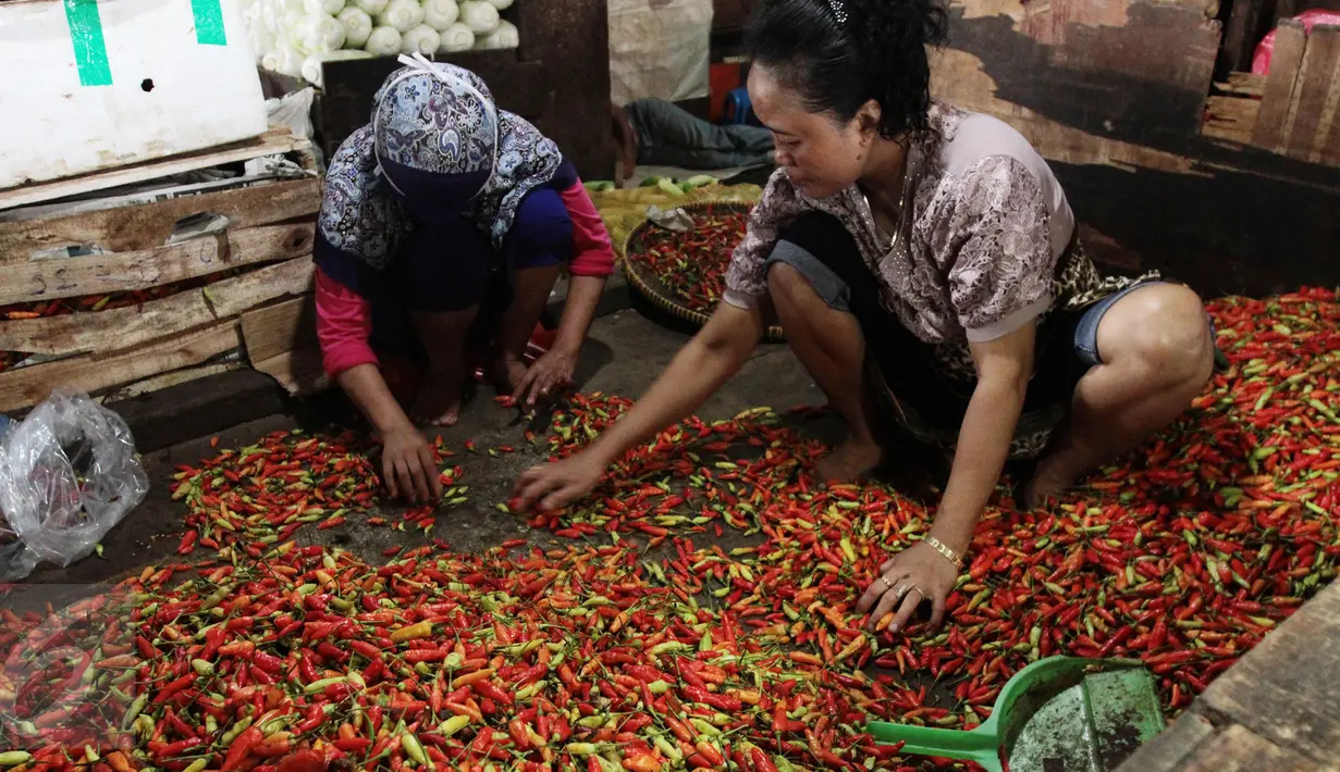 Pedagang menimbang cabai untuk di jual di pasar di Jakarta, Senin (20/2).  Kementan tidak akan mengambil langkah untuk mengimpor cabe dan bawang. Walau pun saat ini, harga cabe dan bawang mengalami keniakan. (Liputan6.com/Angga Yunair)