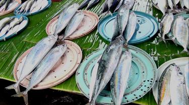 Harga Ikan Melonjak Tinggi di Ambon