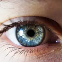 Ilustrasi Retina Mata Credit: unsplash.com/Kalea