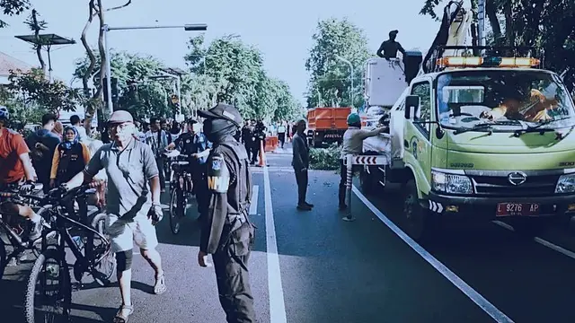 Potret Perantingan Pohon di Surabaya