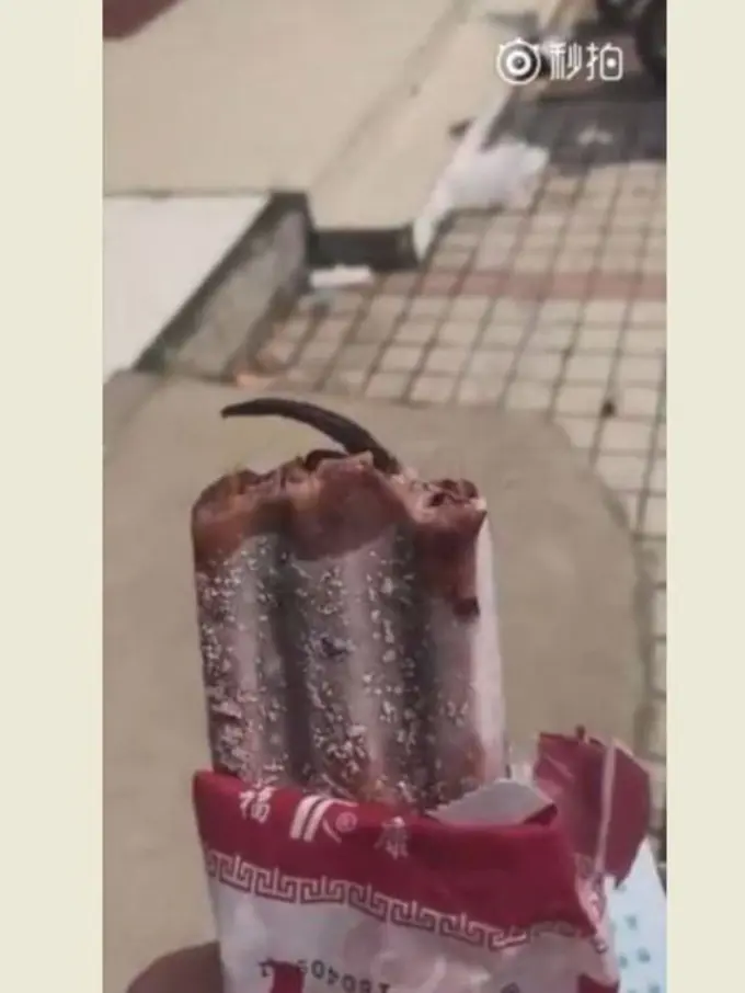 [Bintang] Heboh! Perempuan Ini Menemukan Ekor Tikus di Dalam Es Krim yang Sedang Dimakannya