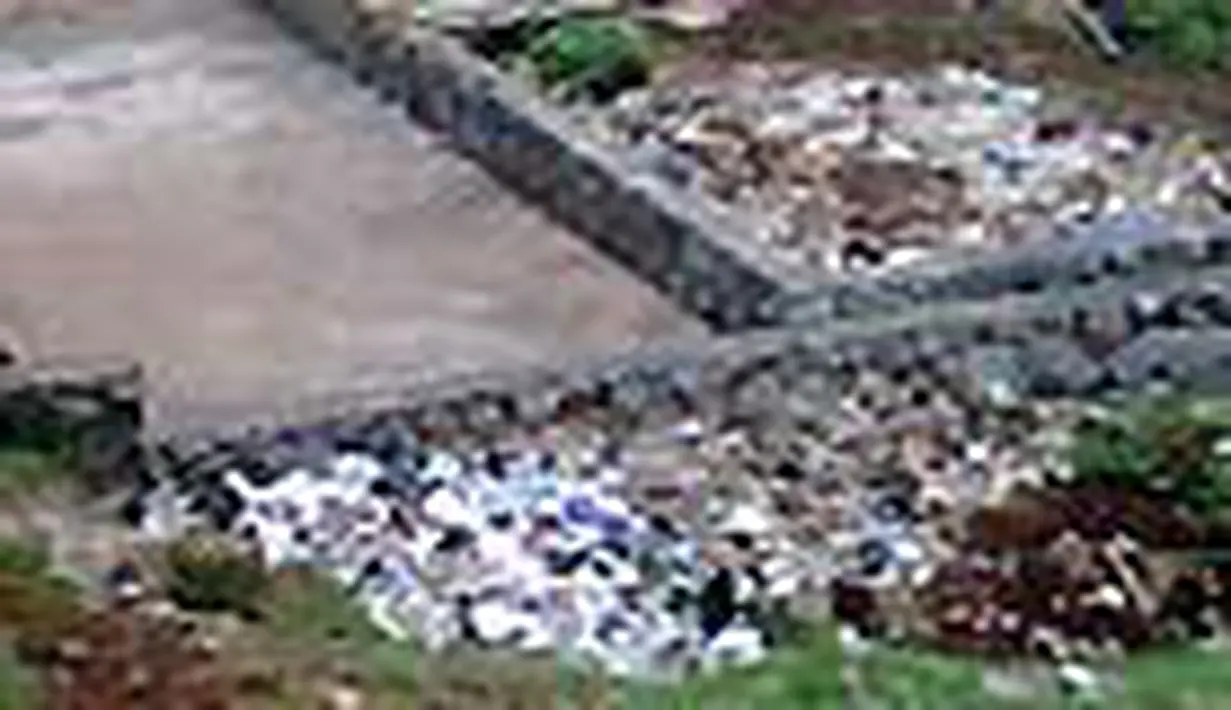 liputan6