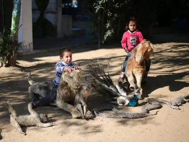 Anak-anak Palestina menunggangi hewan yang telah diawetkan di kebun binatang kawasan Rafah sebelah selatan Jalur Gaza, Selasa (3/1). Menurut pemiliknya, hewan tersebut mati karena ia tidak mampu memberinya makan. (REUTERS / Ibraheem Abu Mustafa)