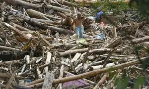 Seorang warga desa terdampak banjir bandang berjalan di antara tumpukan kayu di Desa Tukka, Tapanuli Tengah, Sumatera Utara, pada 2 Desember 2025. Banjir bandang dan tanah longsor yang melanda Kabupaten Tapanuli Tengah sejak 25 November 2025 telah menelan korban. Ada dua desa yang paling parah terdampak, yakni Desa Tukka dan Desa Tanah Bolon. (YT HARIONO/AFP)