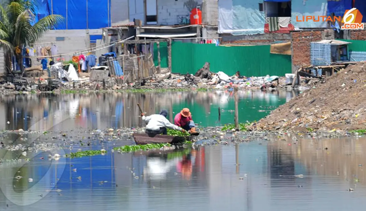 Penduduk sekitar tampak masih ada yang mengambil enceng gondok untuk dijual ke petani ikan. (Liputan6.com/Herman Zakharia)