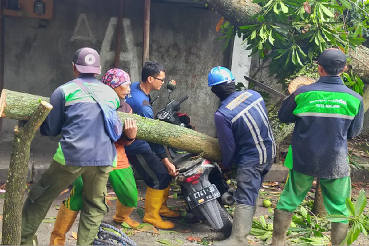 Waspada Angin Kencang di Malang, Jangan Berteduh dan Parkir di bawah Pohon