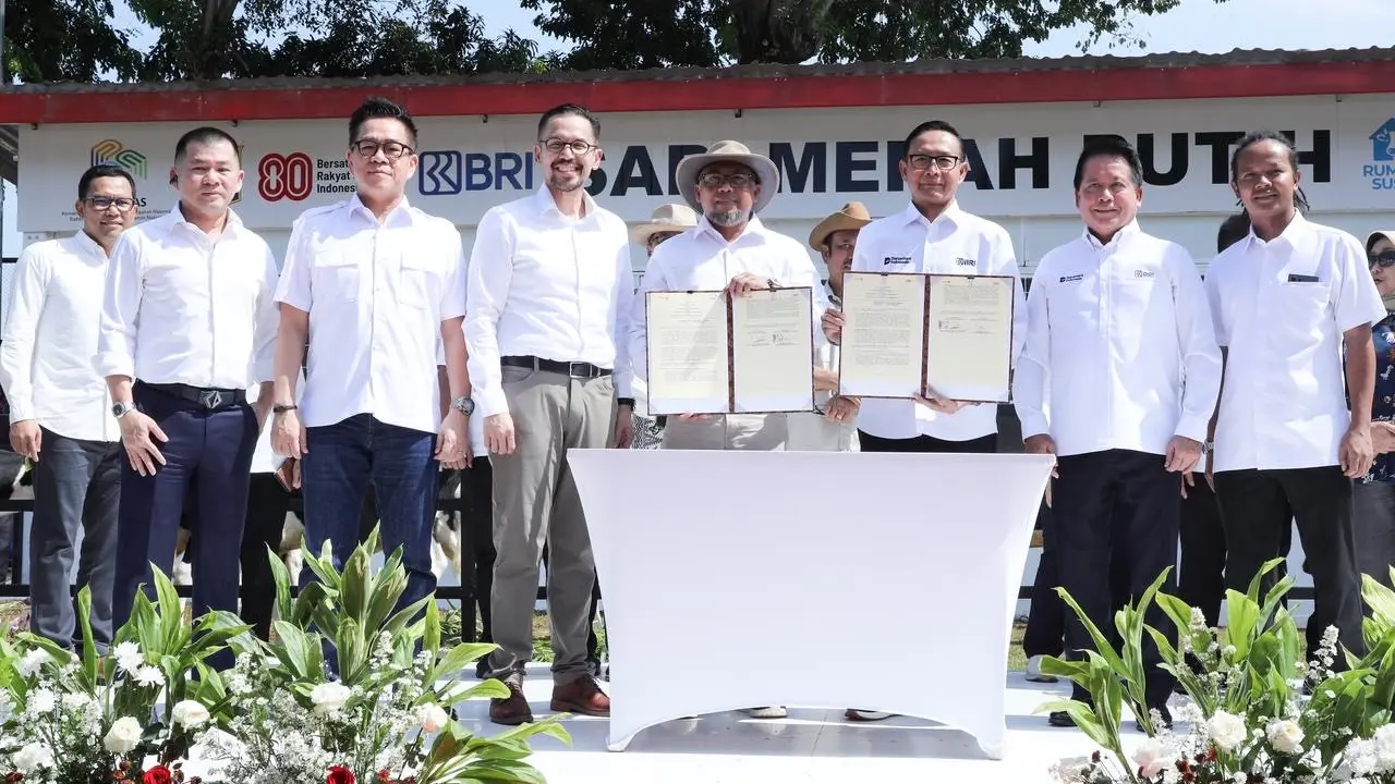 Sinergi BRI dalam Program Sapi Merah Putih Dukung Swasembada Pangan Nasional
