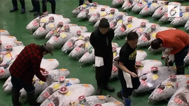 VIDEO: Fantastis, Ikan Tuna Terjual Rp 43 Miliar di Jepang