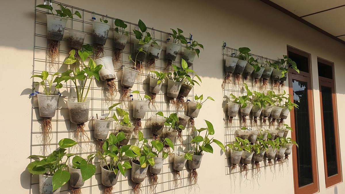 Gelas Plastik Kecil Bekas di Rumah Bisa untuk Apa? Ini 9 Inspirasi Penggunaannya