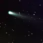Ilustrasi komet (NASA)
