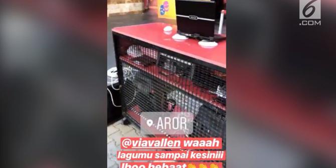 VIDEO: Keren, Lagu Via Vallen Dinikmati Warga Turki