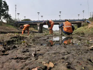 Petugas UPK Badan Air Dinas Lingkungan Hidup Provinsi DKI Jakarta membersihkan rerumputan dan sampah di dasar aliran Kanal Banjir Timur, Jakarta, Rabu (7/8/2019). Kemarau berkepanjangan mengakibatkan debit air Kanal Banjir Timur menyusut hingga dasar aliran terlihat. (merdeka.com/Iqbal Nugroho)