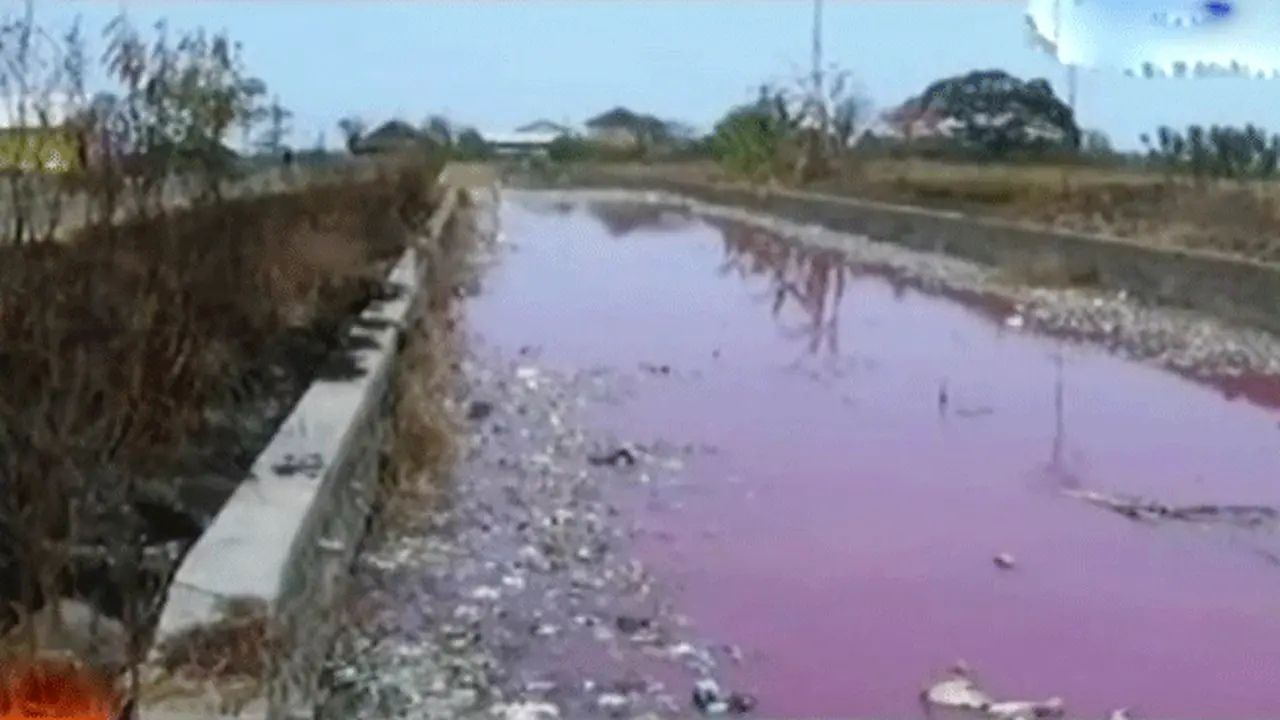 Segmen 2: Air Sungai Kamal Tercemar hingga Sidak ke Pabrik Kimia.